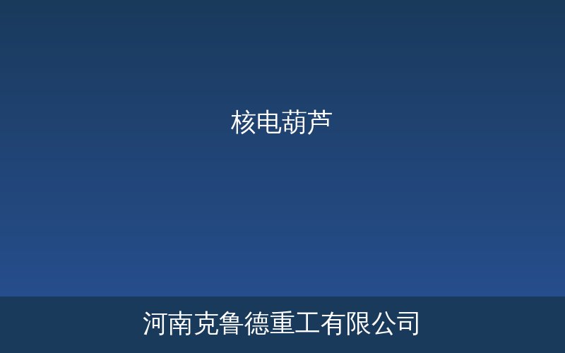 核电站专用的核电葫芦设备示意图