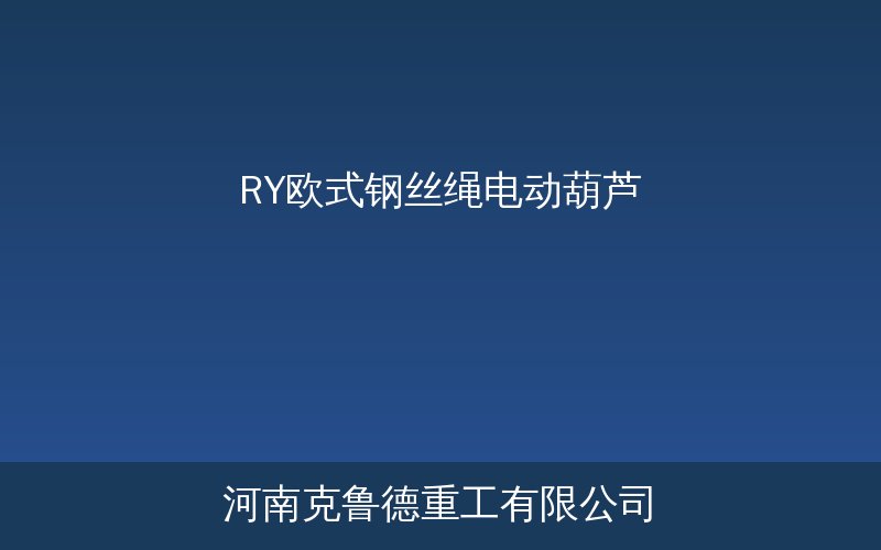 RY型欧式钢丝绳电动葫芦产品实物展示图